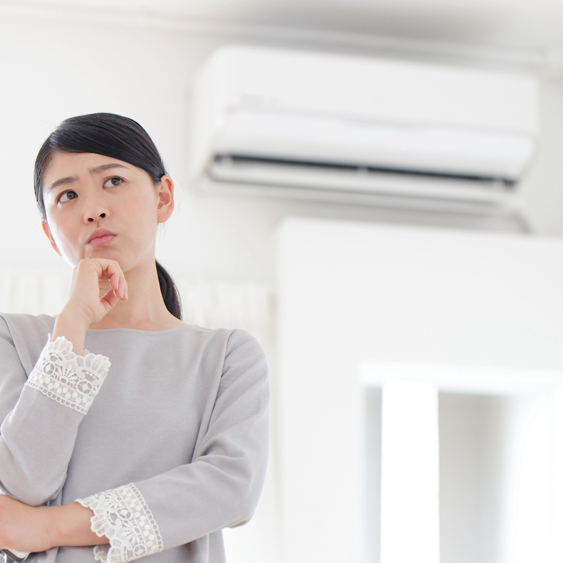 エアコンに虫が侵入した時の対策4個 入ってくる原因や予防法も タスクル