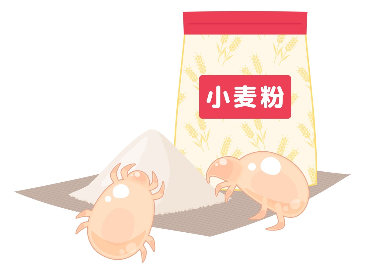 コナダニ駆除の方法7選!おすすめの駆除グッズや予防対策も紹介 | タスクル