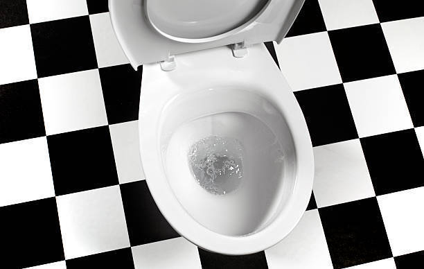 簡単にできる トイレの黒ずみを落とす6つの方法 タスクル