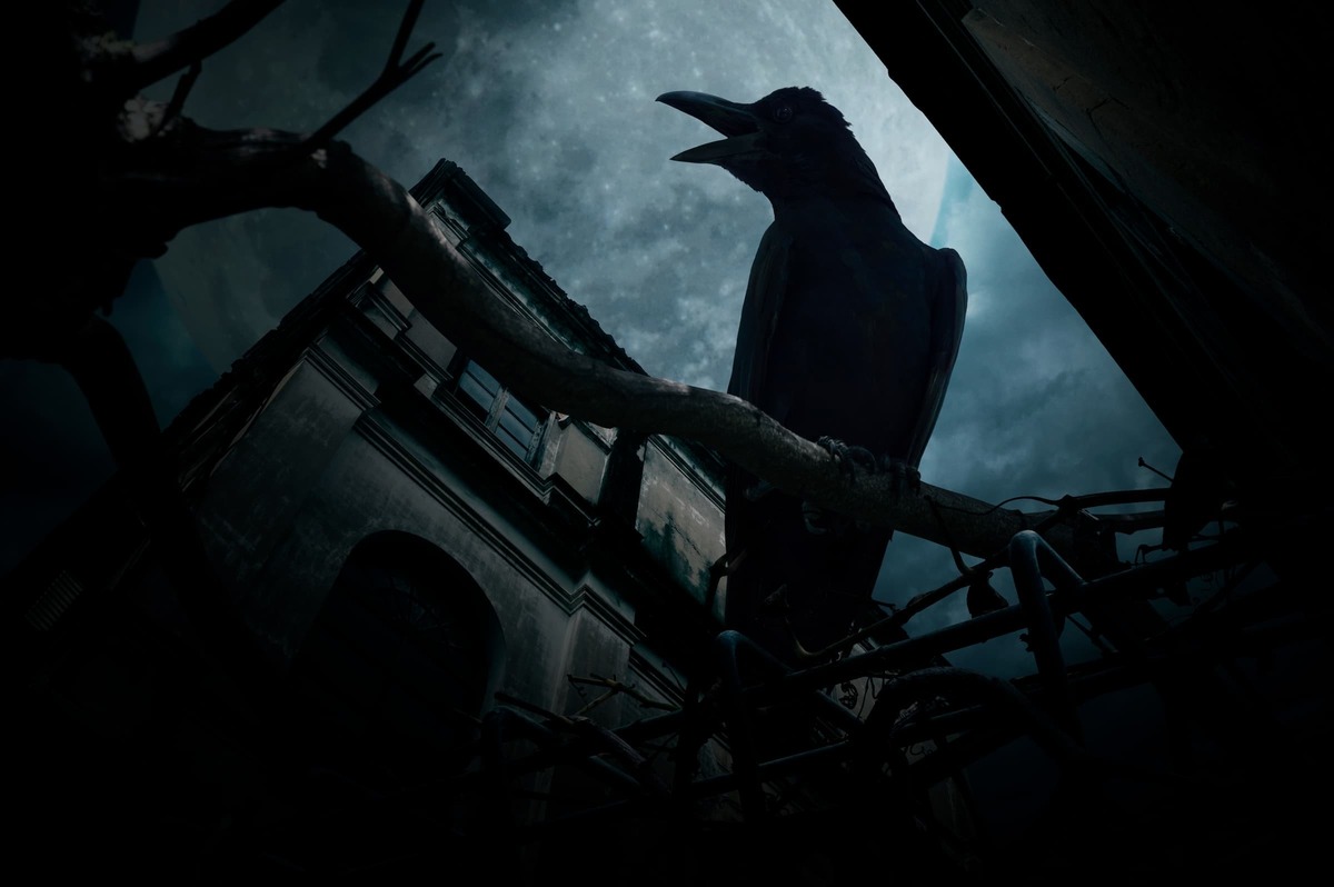 カラスに襲われやすい人がいる 被害の実例と身の守り方 タスクル