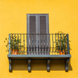 鳩のフンの掃除の仕方 注意点を紹介 業者を呼ぶ前にできること タスクル