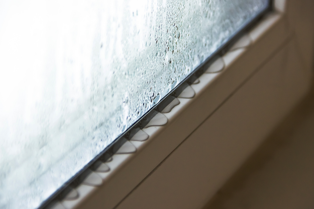 窓の結露対策おすすめグッズ17選 ぷちぷち 洗剤なども プロ監修 タスクル
