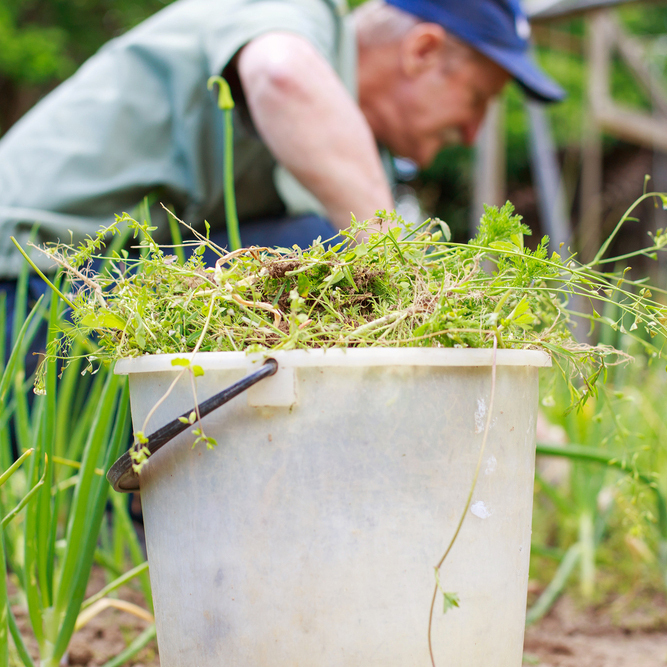 雑草を簡単に処理する15の方法 タスクル