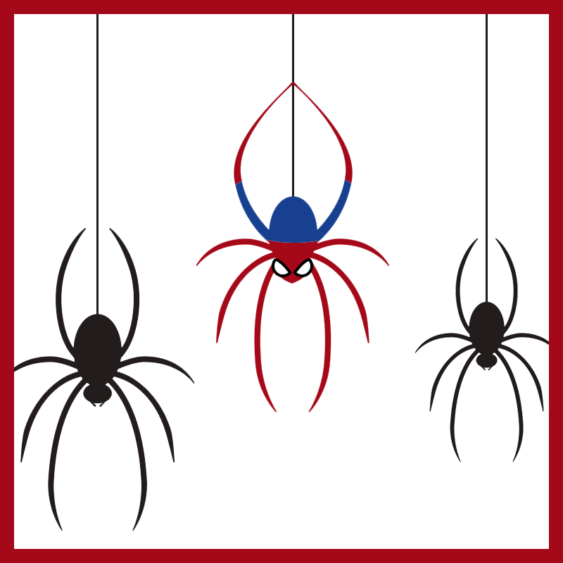 家に出る蜘蛛の種類9つと見分け方 殺さない 対策は タスクル