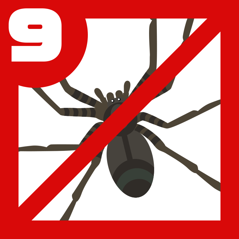 クモ対策9つ 庭やベランダ 家の蜘蛛を追い払うには プロ監修 タスクル