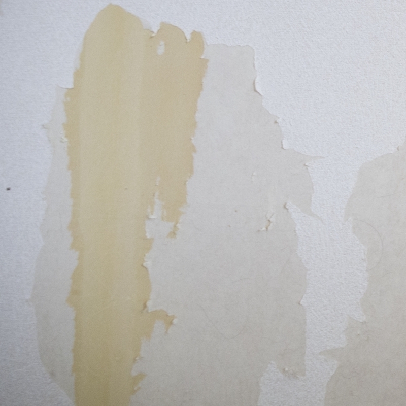 剥がれた壁紙の補修する方法6ステップ 予防法やおすすめアイテムも タスクル