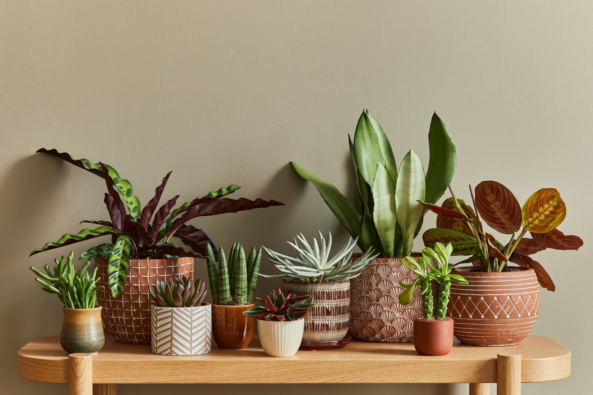 植木鉢は簡単に代用できる！植木鉢の代用品16選とおしゃれにアレンジ 