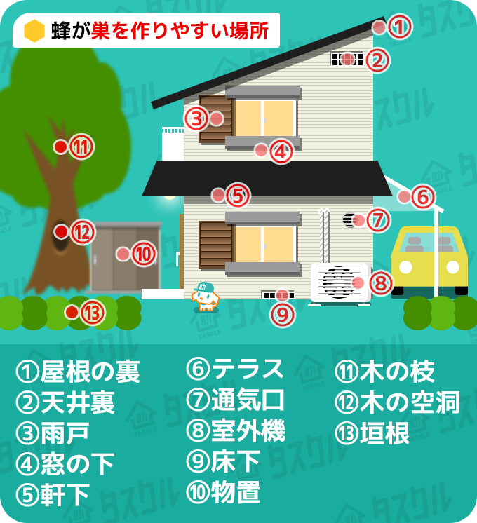 スズメバチの巣を自分で駆除する方法と準備3点 業者料金相場比較表付 タスクル