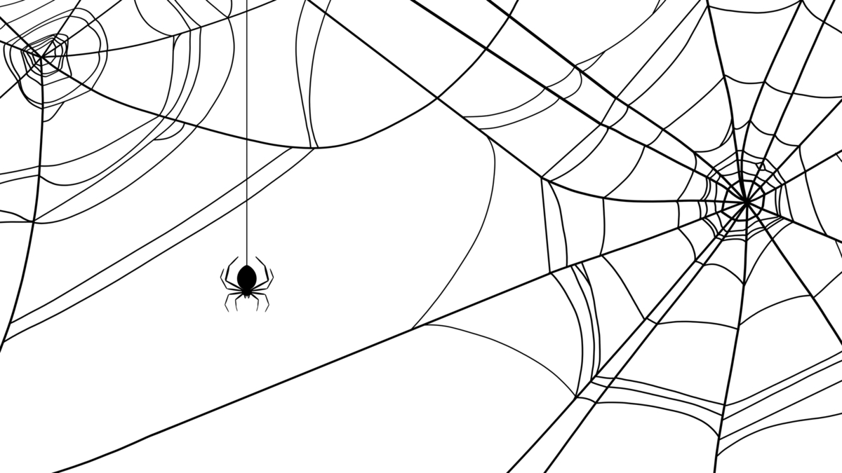 家に出る蜘蛛の種類9つと見分け方 殺さない 対策は プロ監修 タスクル