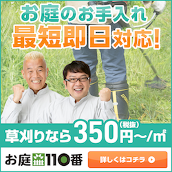 除草剤を手作りで代用しよう 酢 クエン酸 重曹 塩でできる タスクル